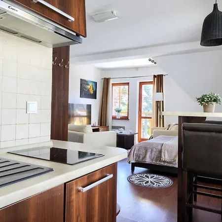 Visitzakopane - Pod Jodlami Apartamento